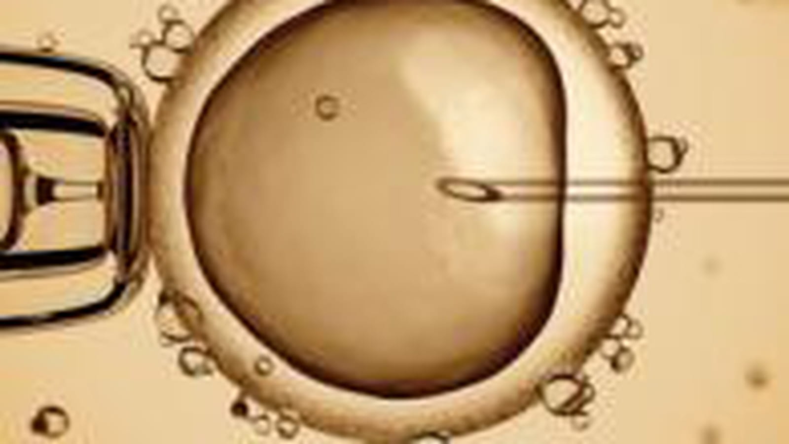 Apprentissage des sciences