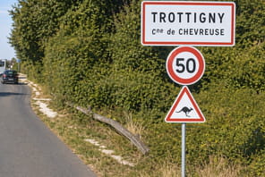 Un "panneau kangourou" install&eacute; en France&nbsp;pour faire ralentir les conducteurs&nbsp;: jusqu'&agrave; 40&nbsp;accrochages par an avec cet animal