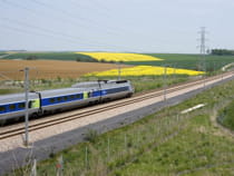 un tgv est à proximité de reims et en direction de l'allemagne.
