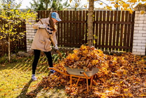 Vous pouvez obliger votre voisin &agrave; ramasser les feuilles mortes, mais &agrave; une seule condition