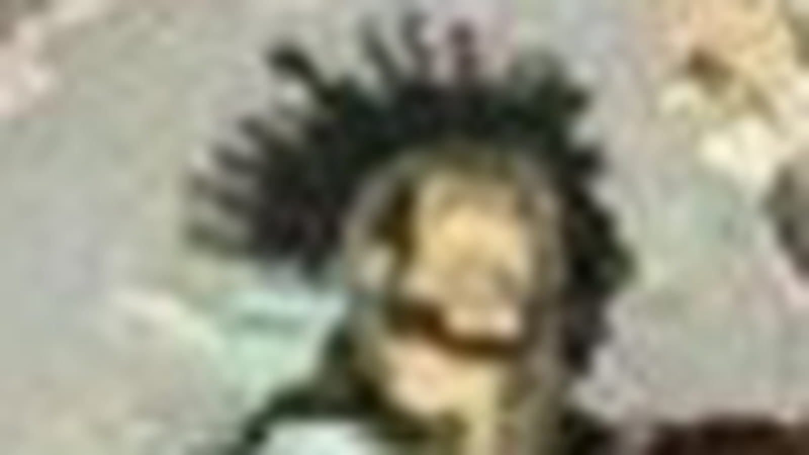 Gulliver