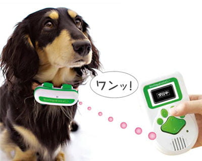une traduction en direct sur écran des aboiements du chien