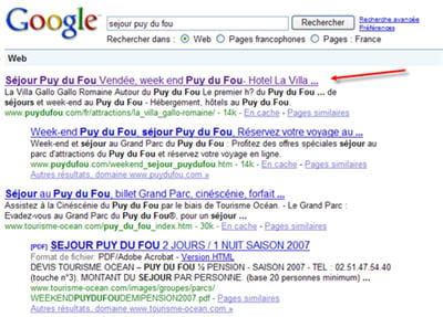 sur l'expression 'sejour puy du fou', le site ressort premier sur google.