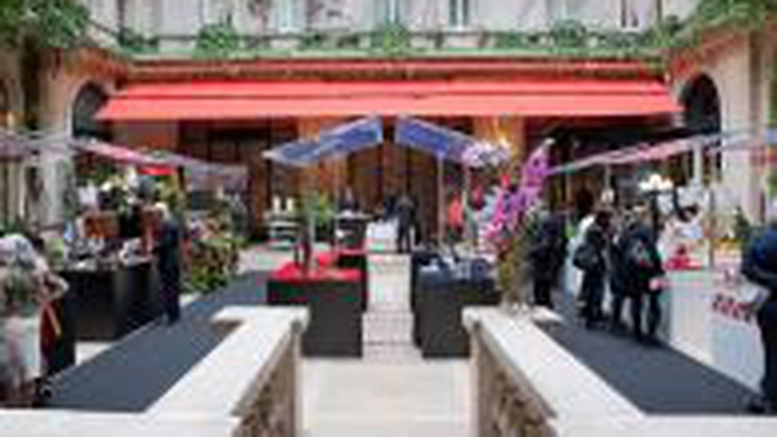 Cour jardin