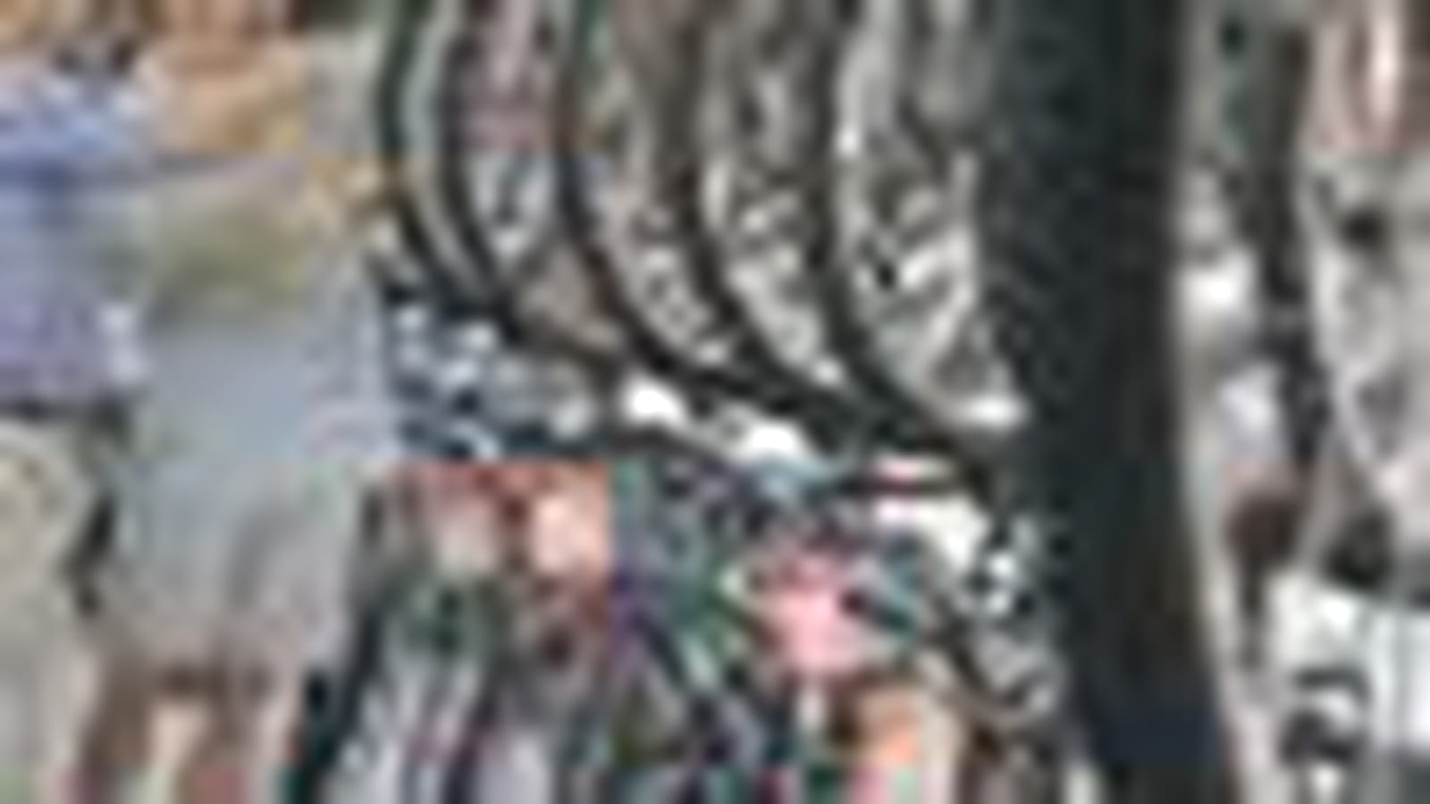 Cycles