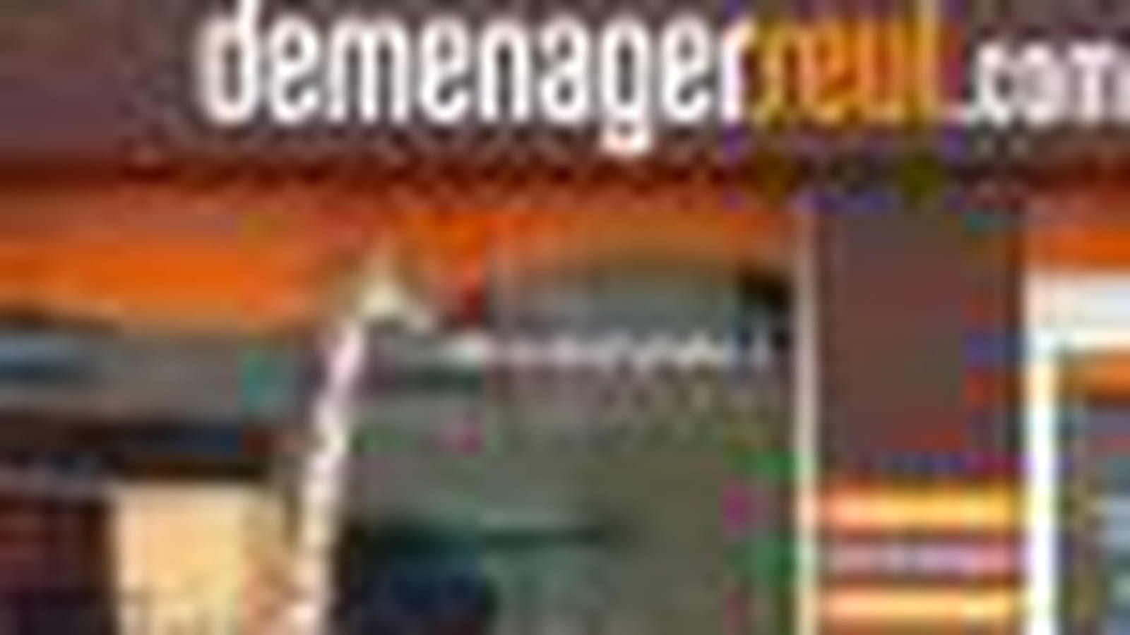 Déménagerseul.com