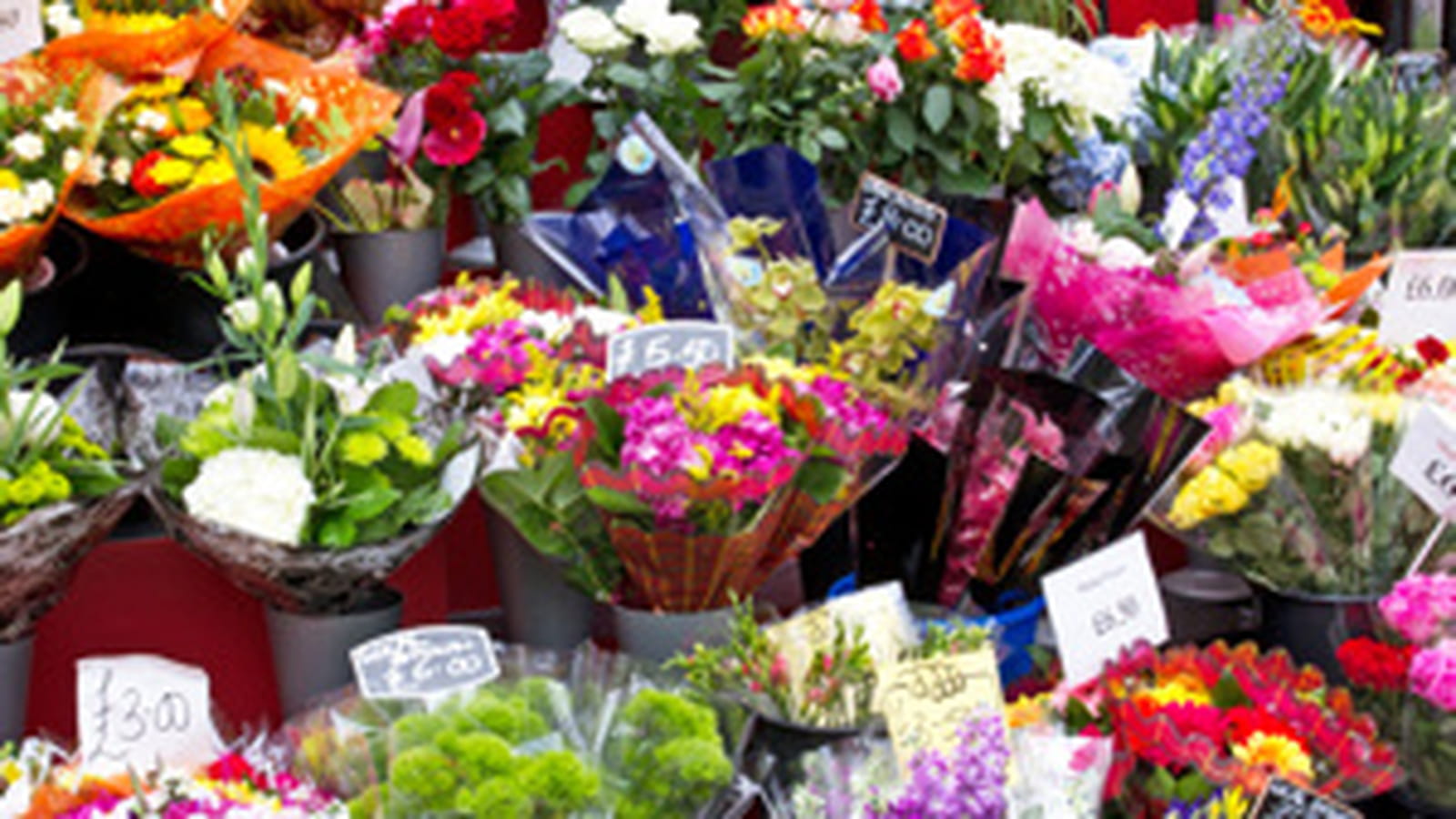 Fleuriste ou pompes funèbres