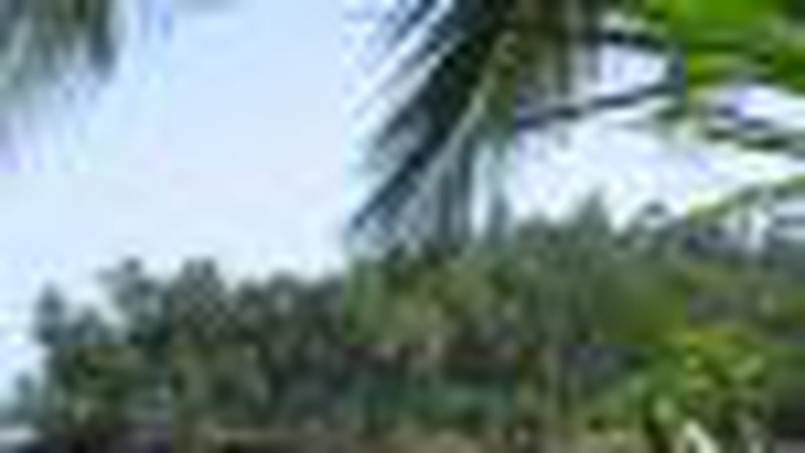 Guyane