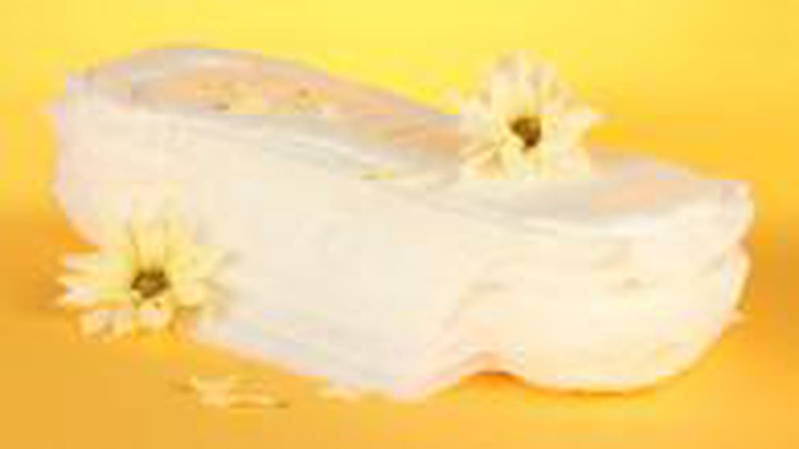 Couche adulte