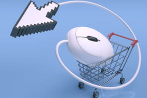 Cartographie technique des 12&nbsp;premiers sites fran&ccedil;ais d'e-commerce