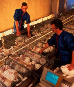evialis s'est retiré de la bourse le 4 juin 2009.