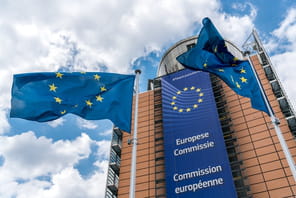 Bruxelles face au mur&nbsp;: la transition &eacute;lectrique menace l'industrie automobile europ&eacute;enne