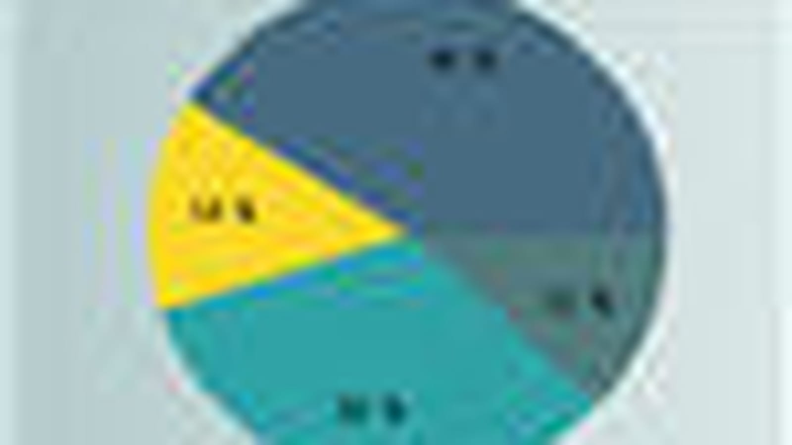 Budgets 2009