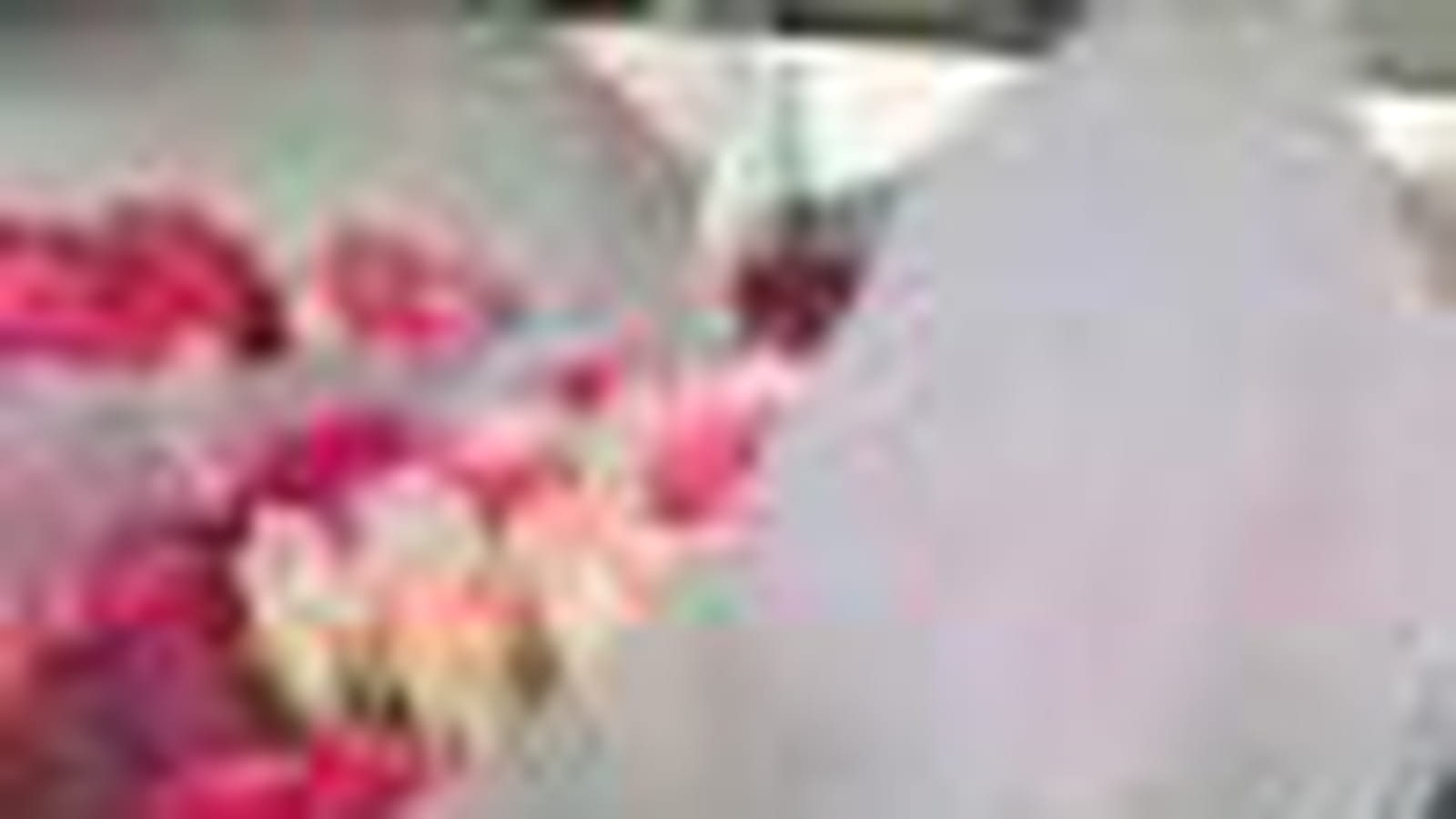 Commandes de roses