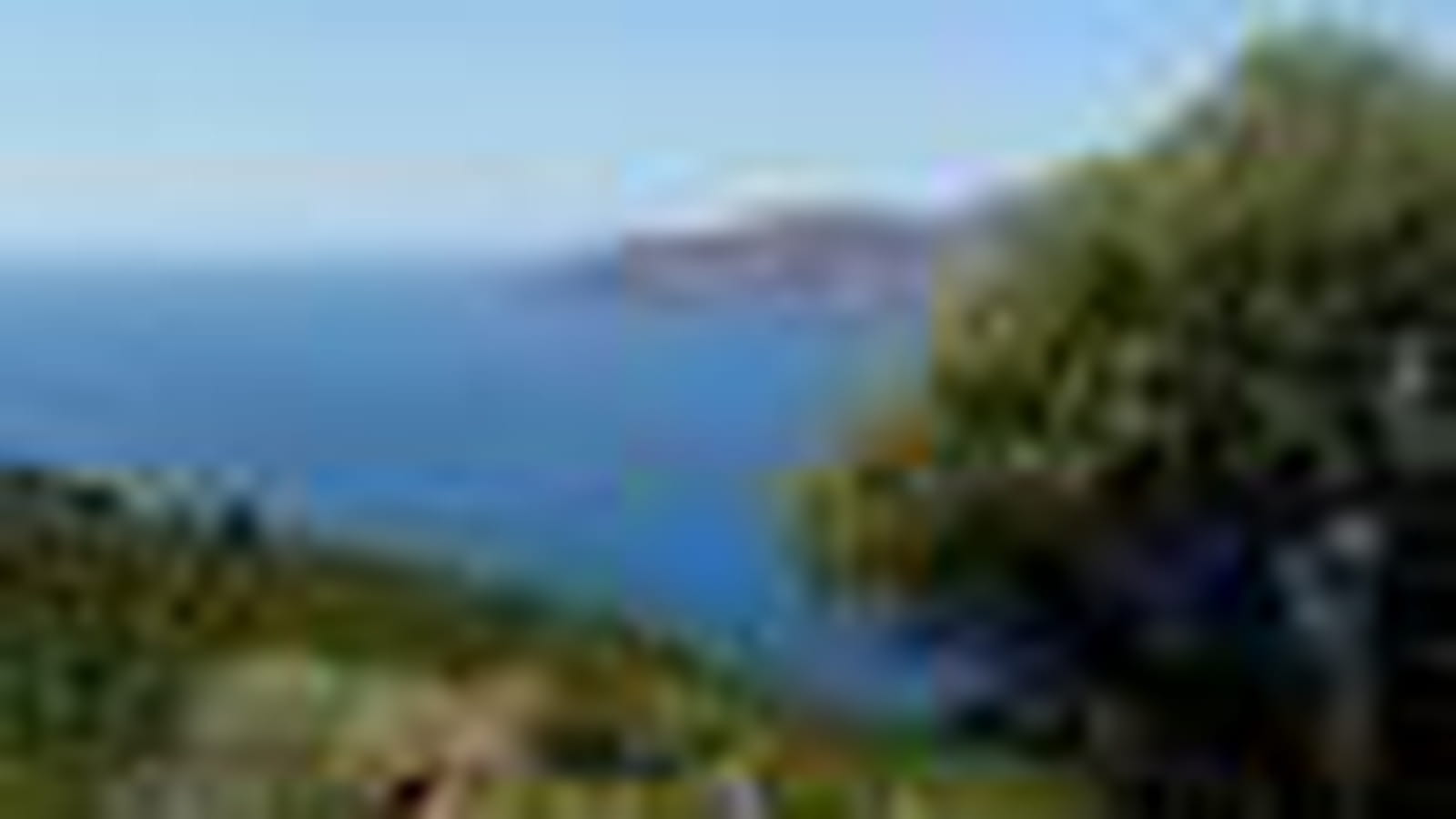 Corse