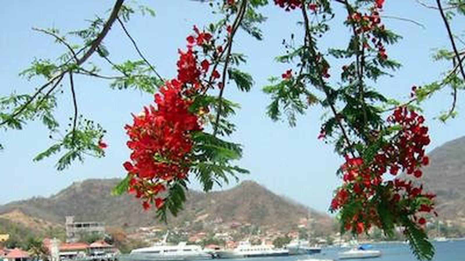 Basse-Terre