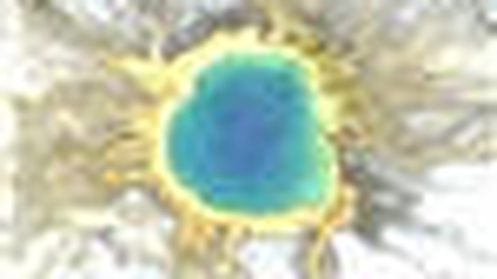 Yellowstone