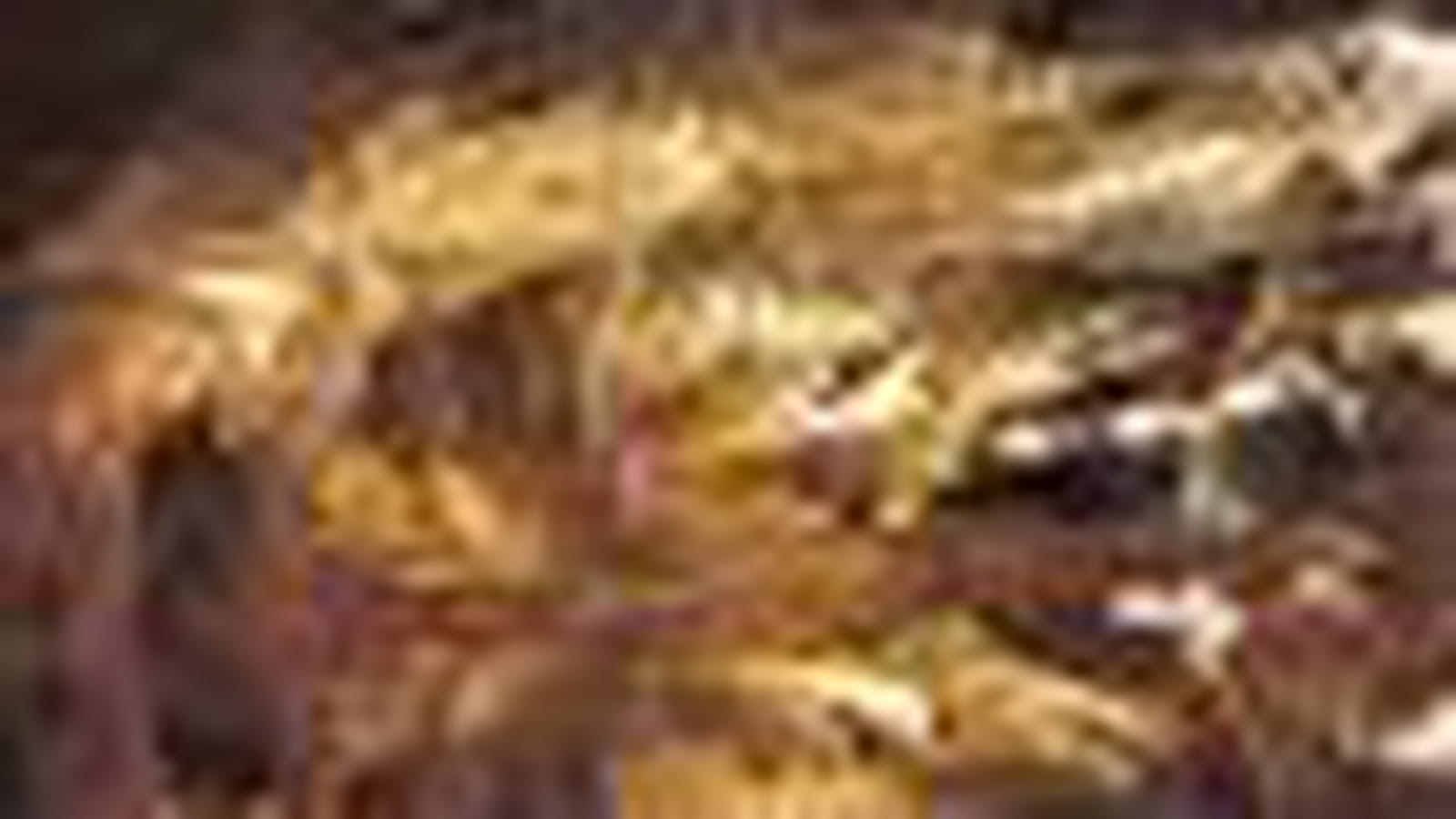 Grotte