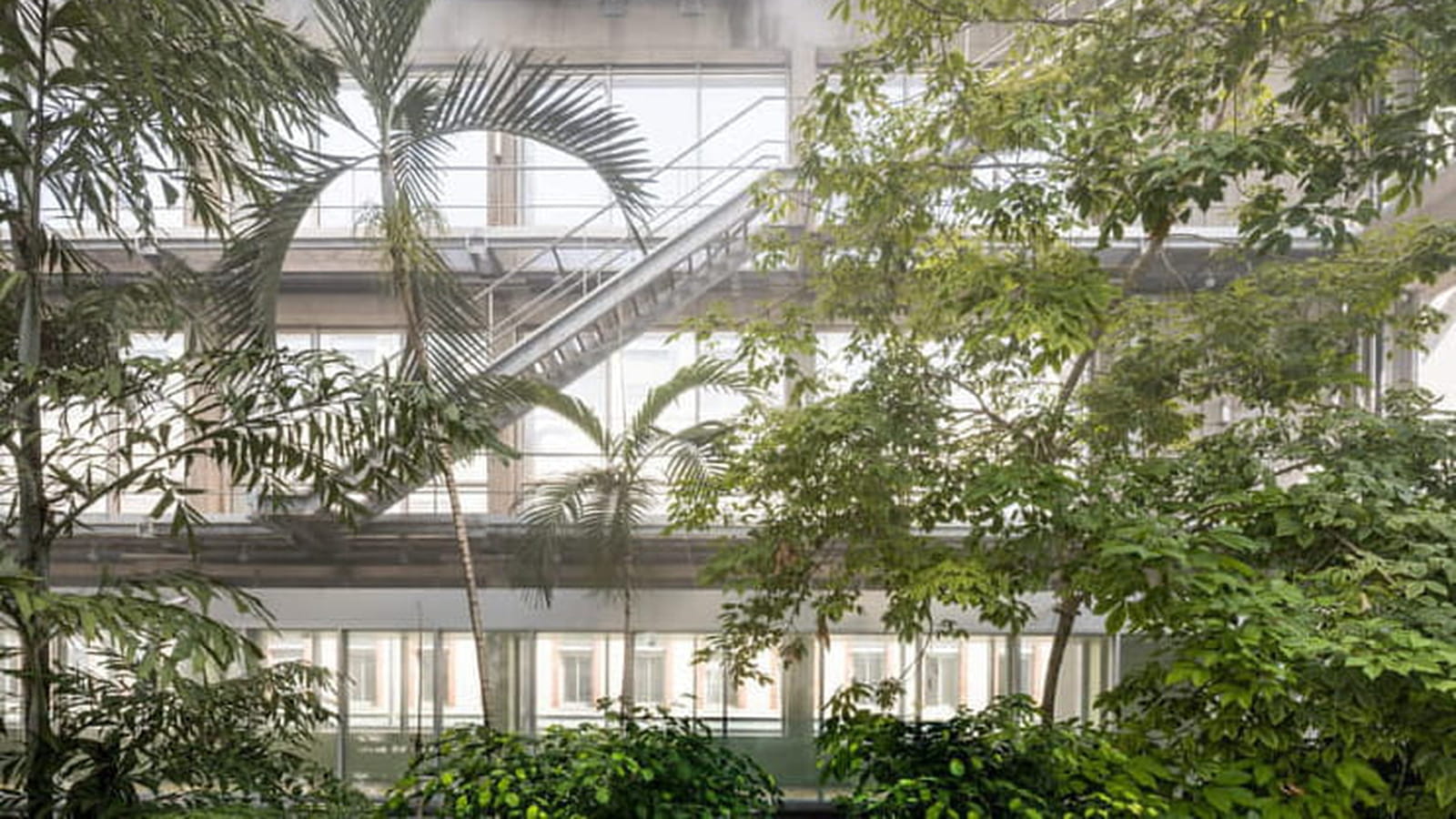 Serre tropicale