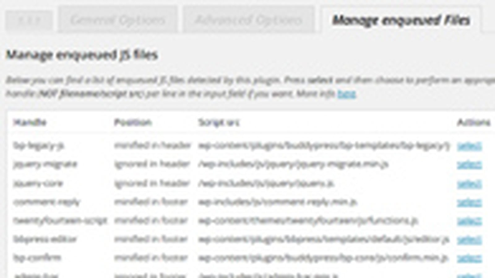 Better WordPress Minify