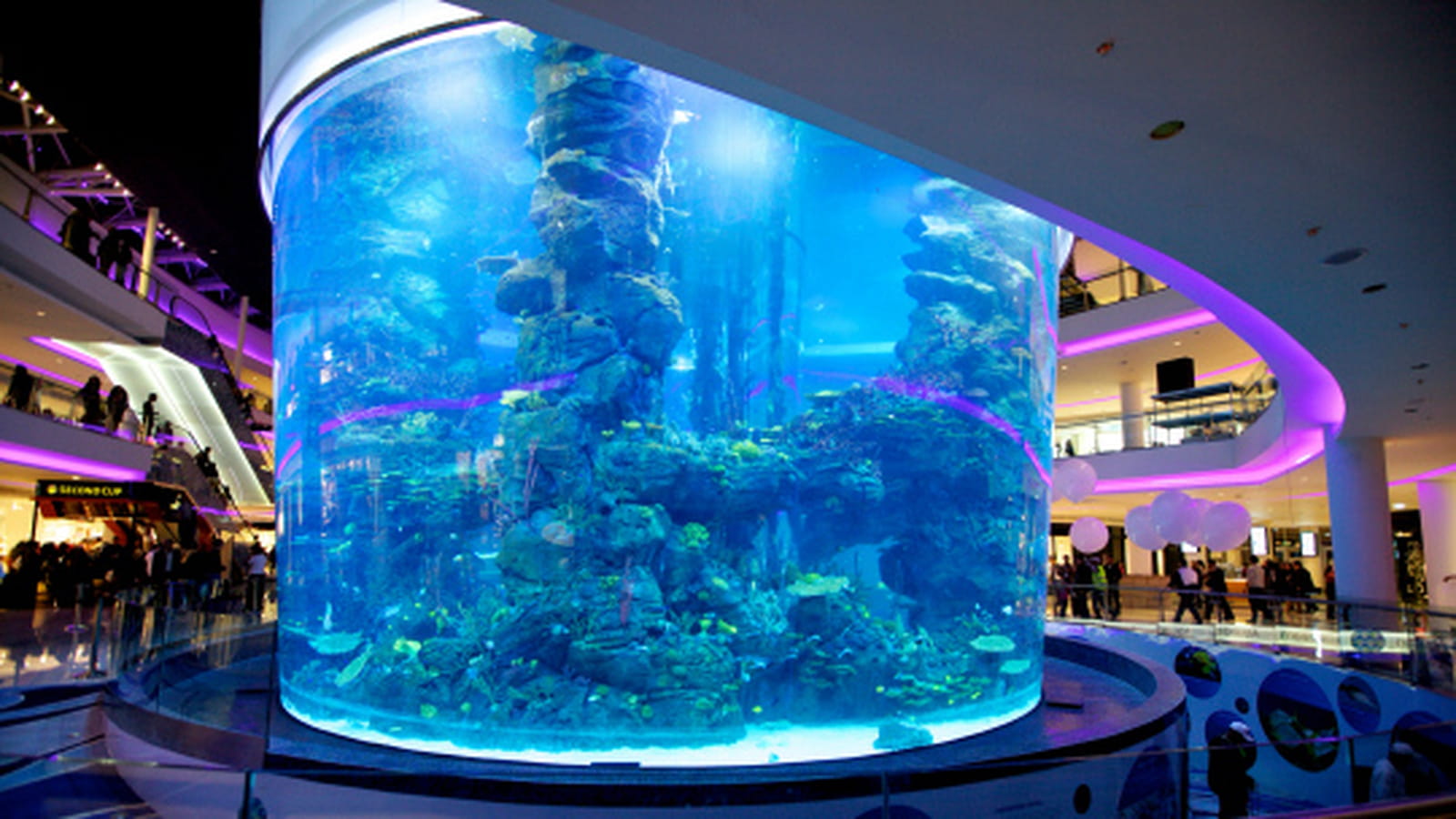Aquarium