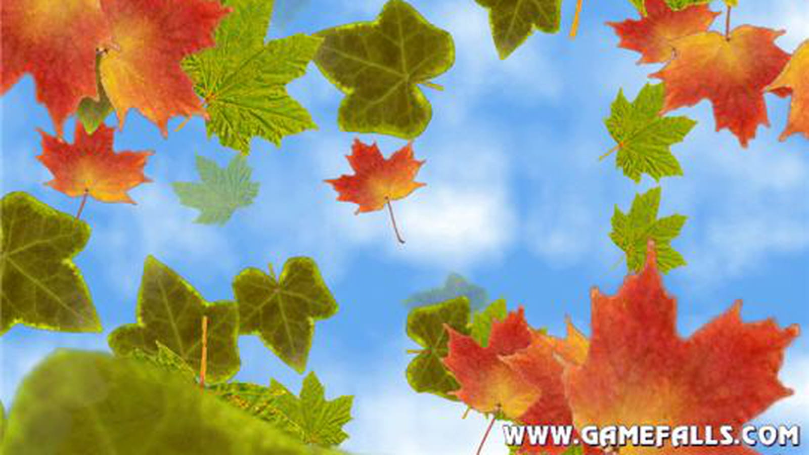La chute des feuilles en automne