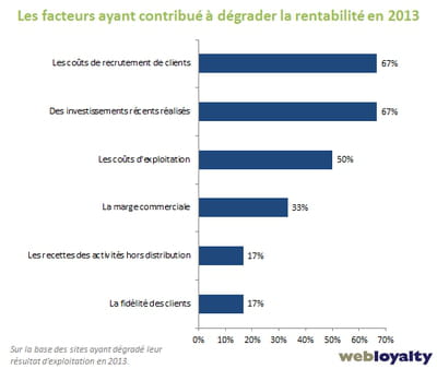 facteurs ayant contribué à dégrader la rentabilité en 2013