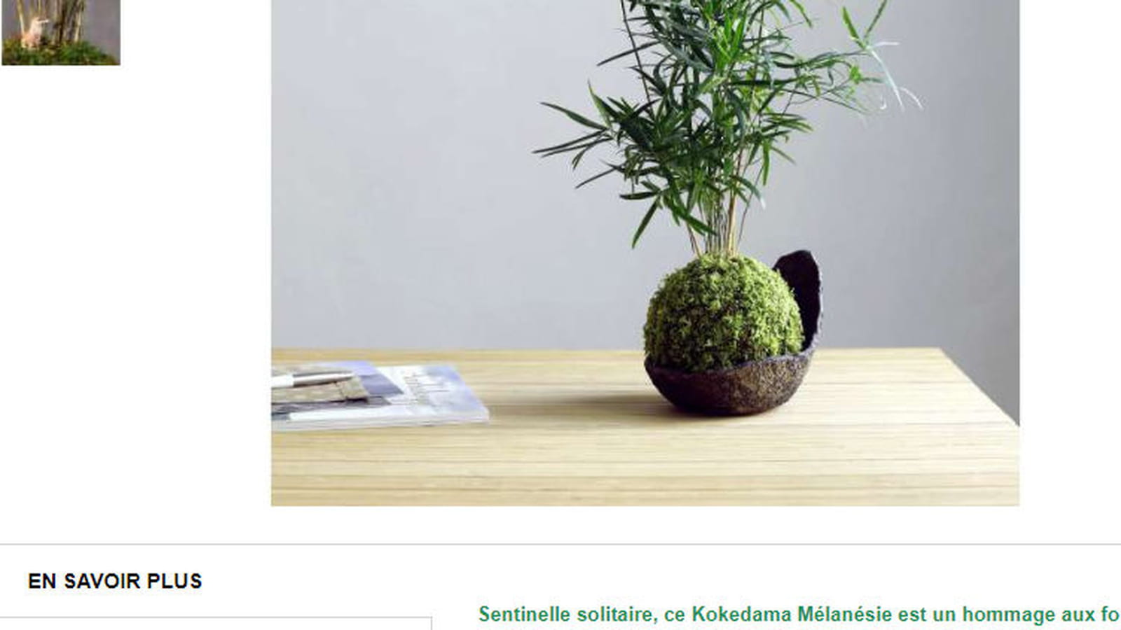 Plante