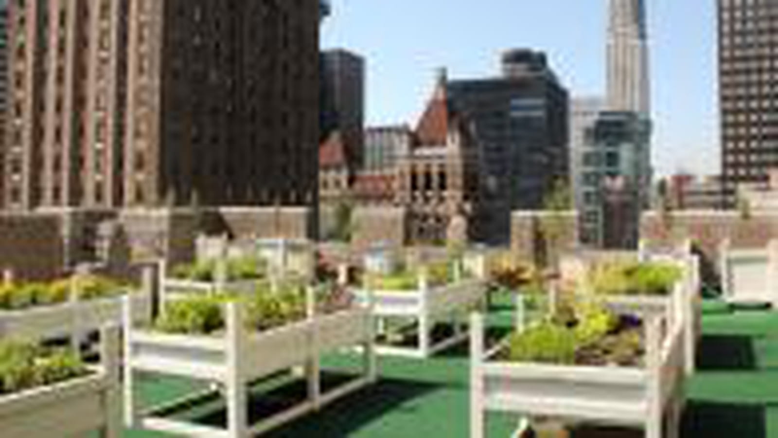 Espaces verts