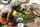 Marabout Vaudou