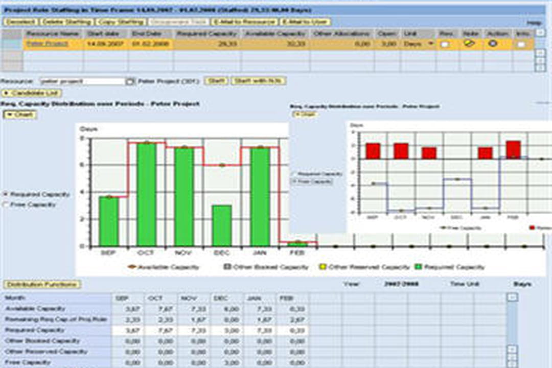 SAP cProjects et RPM : le support de Six Sigma à l'honneur