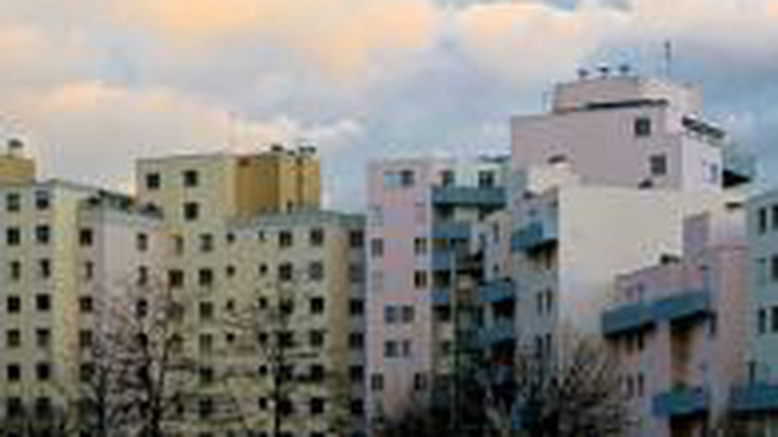 Dijon