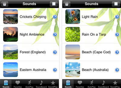 capture d'écran de l'application.