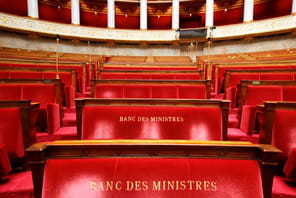 Le S&eacute;nat modifie la loi de p&eacute;rennisation des TZCLD et la renvoie &agrave; l'Assembl&eacute;e, au risque d'une extinction en 2026