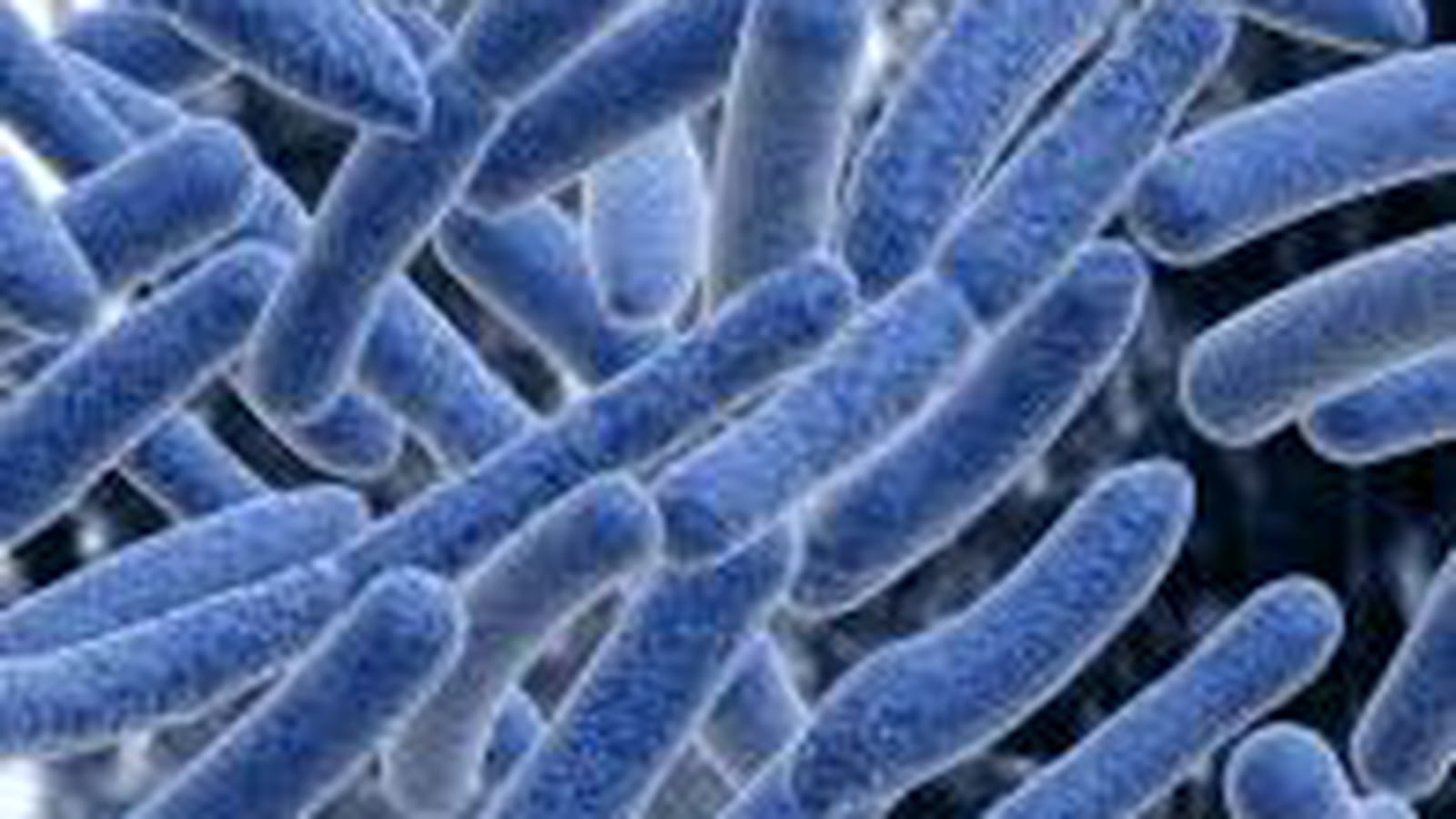 STI Biotechnologie