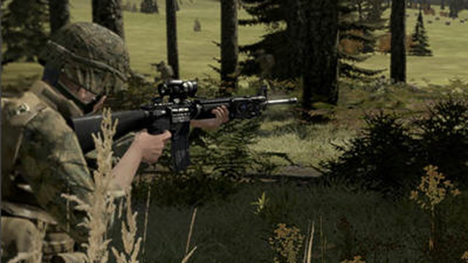 ArmA 2