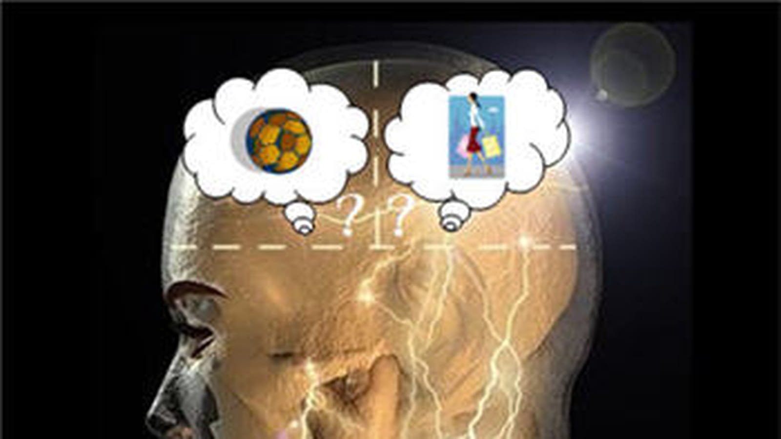 Brain