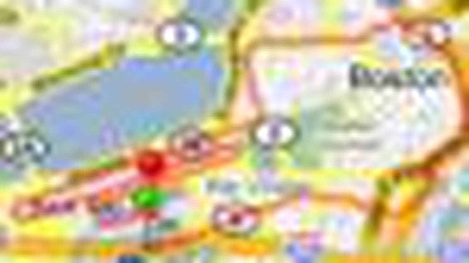 Runkeeper