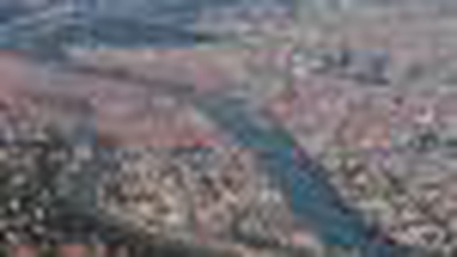Lyon