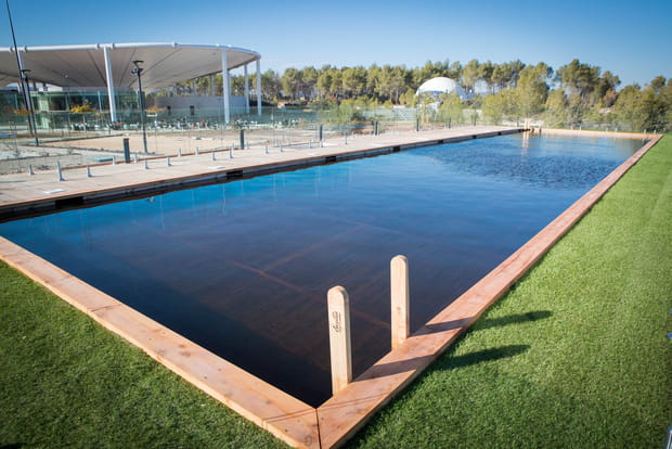 Une piscine biologique