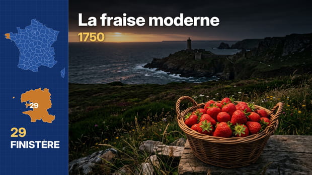 Finist&egrave;re