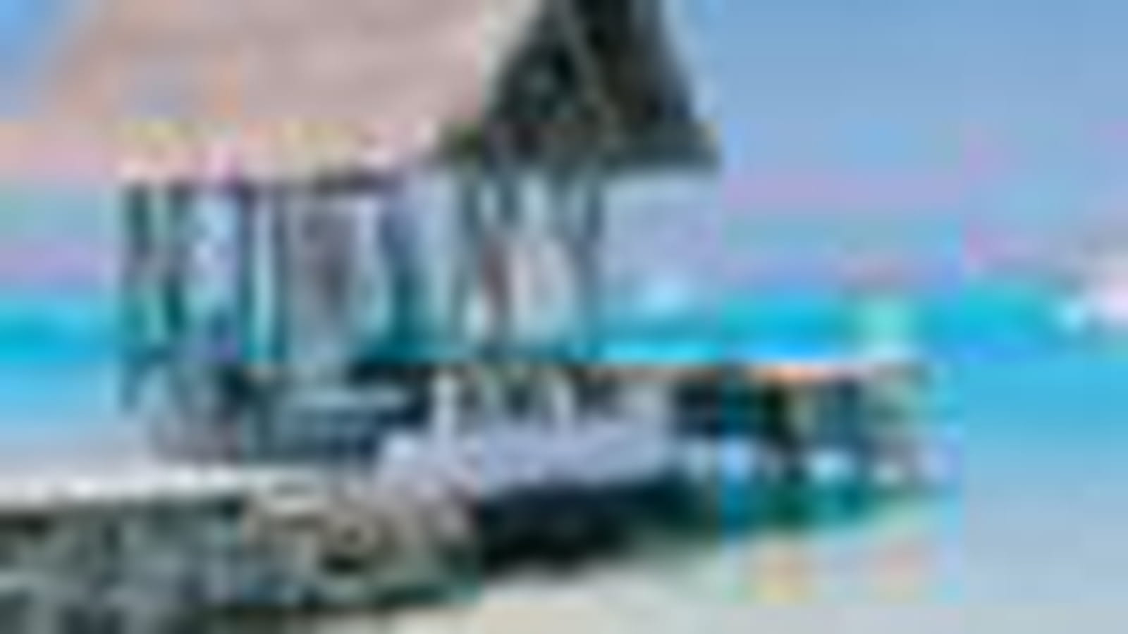 TravelHorizon