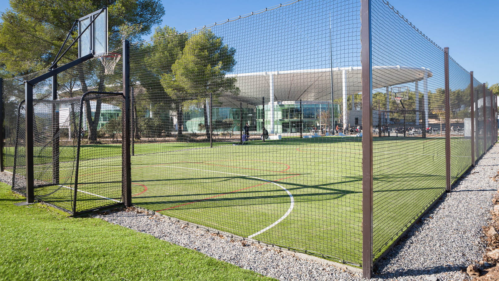 Terrains de sport