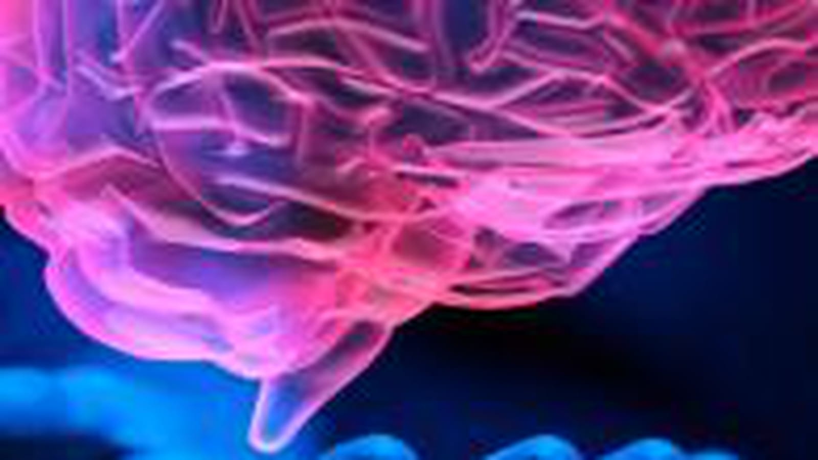Cerveau artificiel
