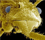 tous les sujets biologie 