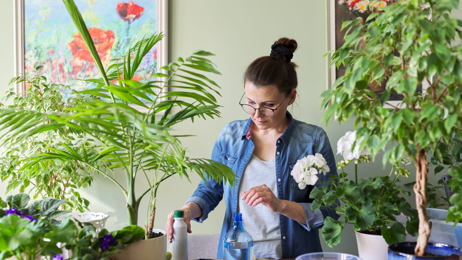 Plant-sitter