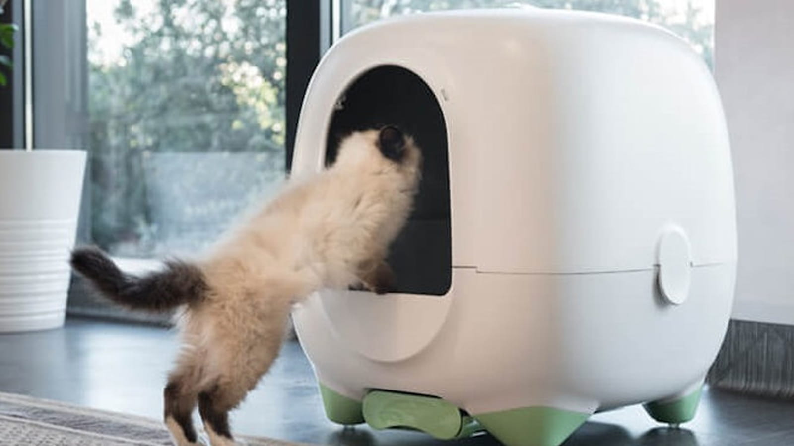Animaux : offrez une litière connectée à votre chat avec Caremitou