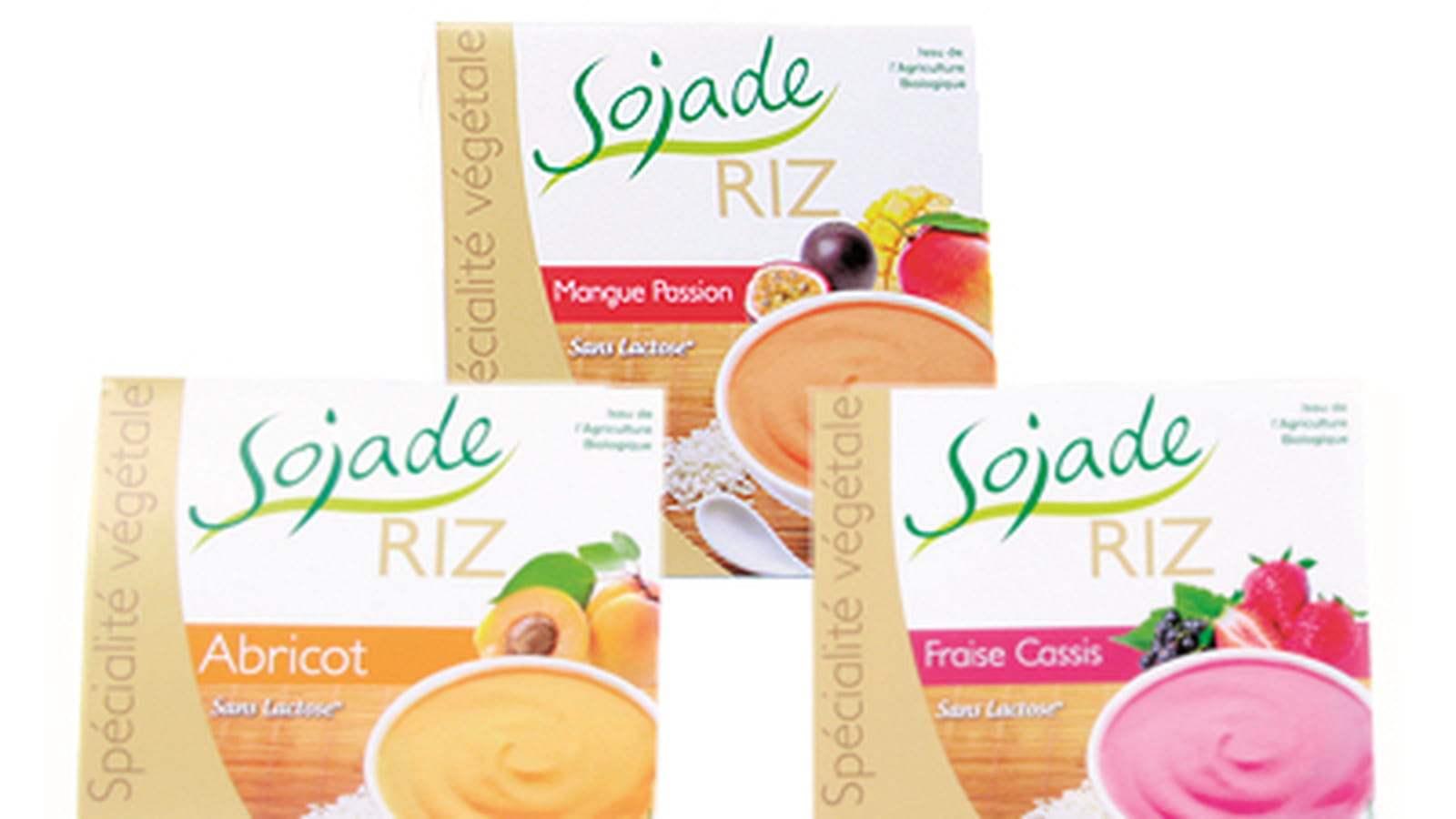 Flan de riz