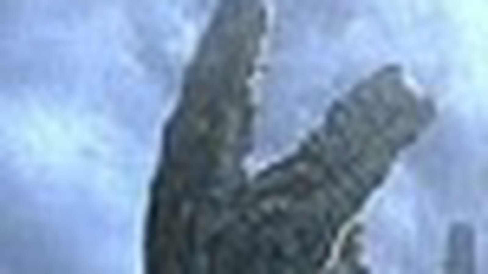 Godzilla