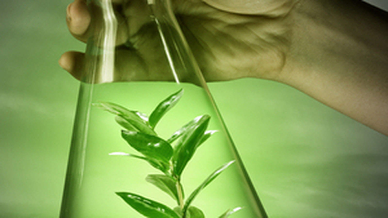 Chimie verte